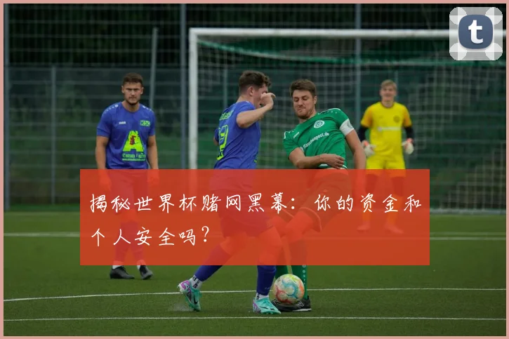 揭秘世界杯赌网黑幕：你的资金和个人安全吗？