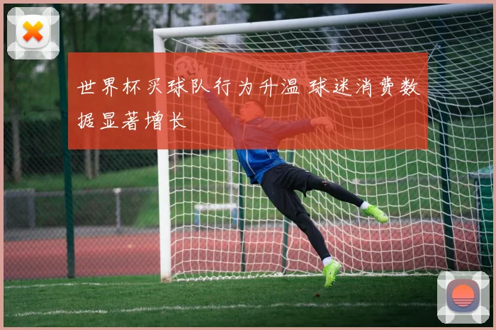 世界杯买球队行为升温 球迷消费数据显著增长