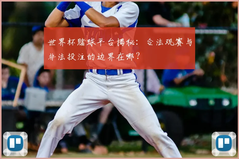 世界杯赌球平台揭秘:合法观赛与非法投注的边界在哪?