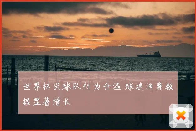 世界杯买球队行为升温 球迷消费数据显著增长