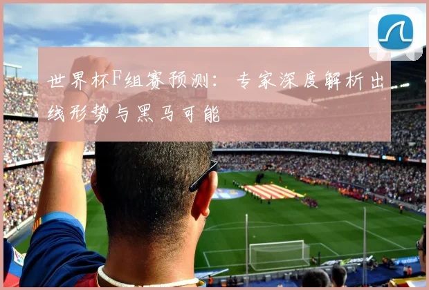 世界杯F组赛预测：专家深度解析出线形势与黑马可能