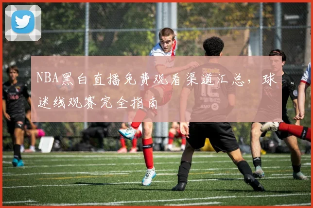 NBA黑白直播免费观看渠道汇总，球迷线观赛完全指南