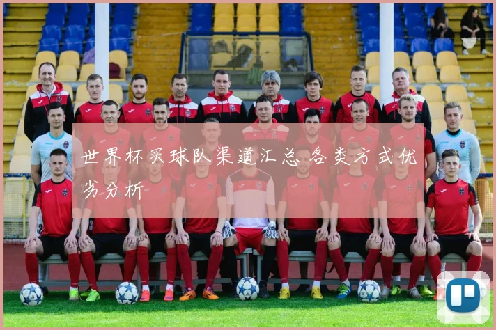 世界杯买球队渠道汇总 各类方式优劣分析